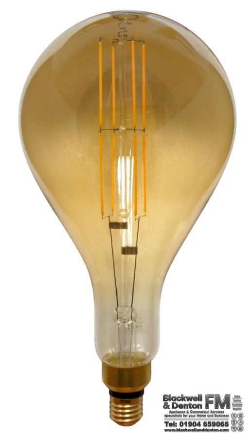 Giant 8w ES Filament Bulb GLFPS160